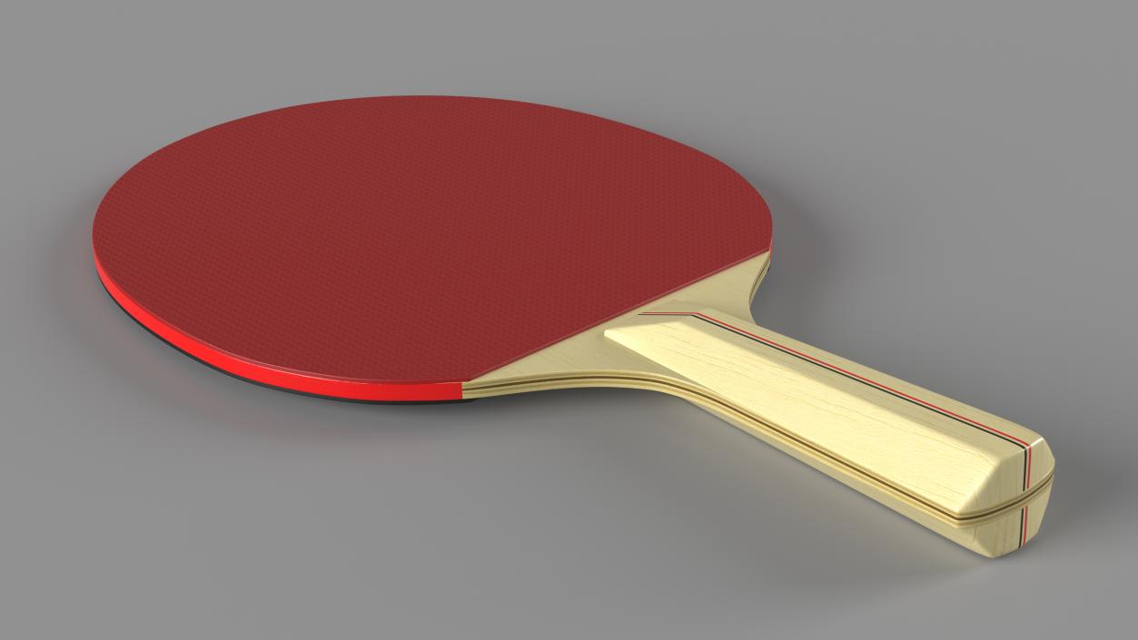 3D Ping Pong Racket