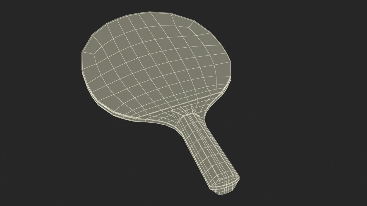 3D Ping Pong Racket