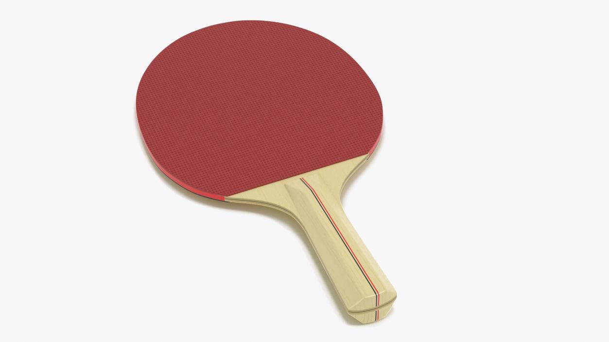 3D Ping Pong Racket