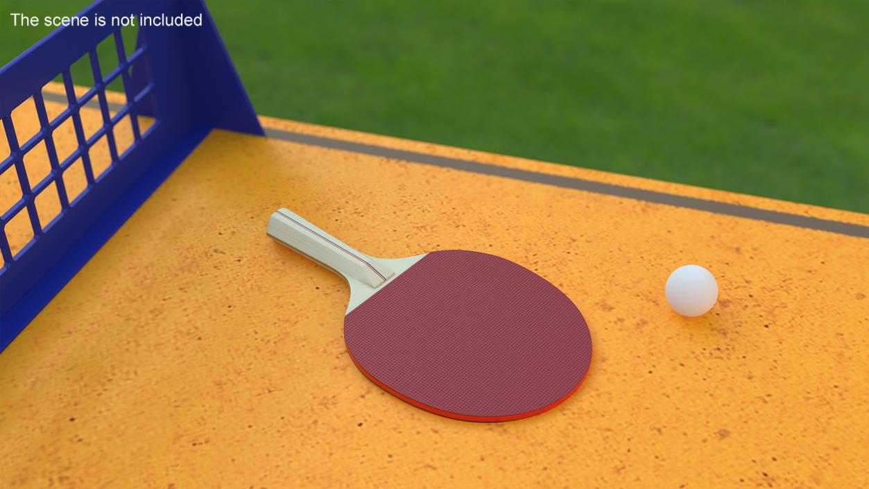 3D Ping Pong Racket