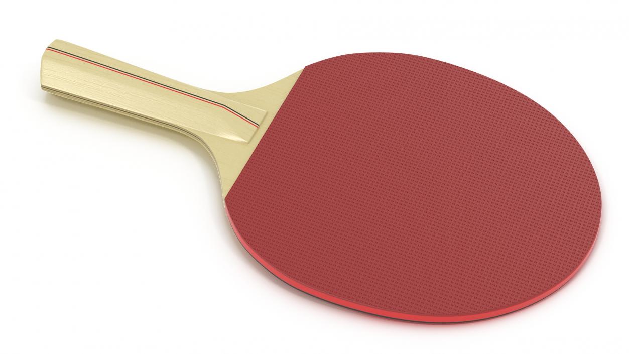 3D Ping Pong Racket