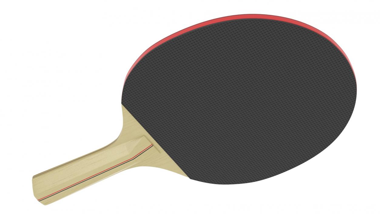 3D Ping Pong Racket