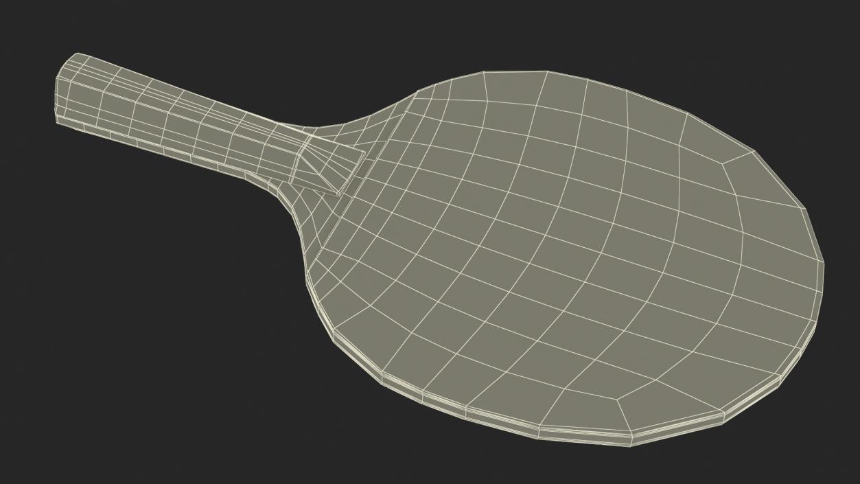 3D Ping Pong Racket