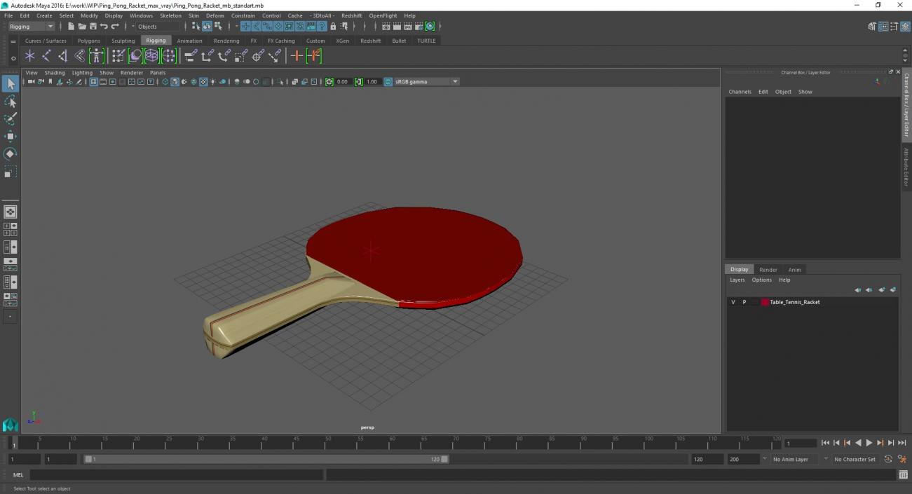 3D Ping Pong Racket