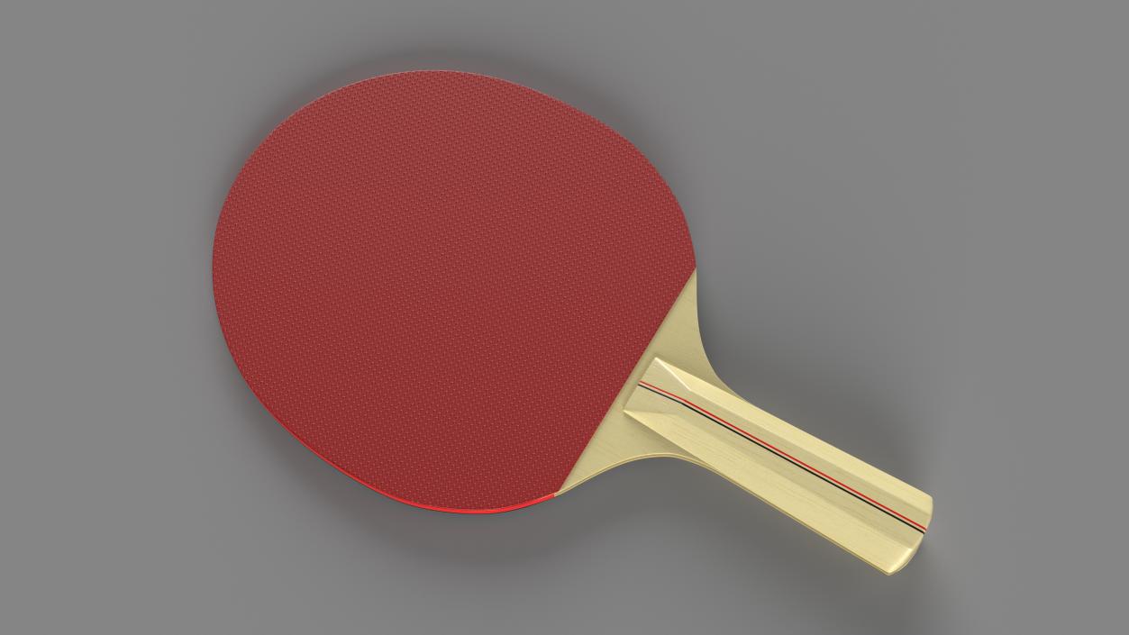 3D Ping Pong Racket