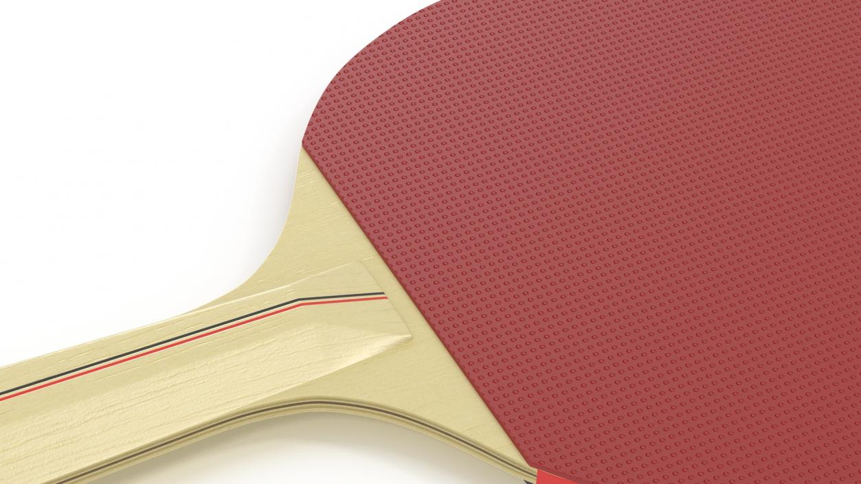 3D Ping Pong Racket