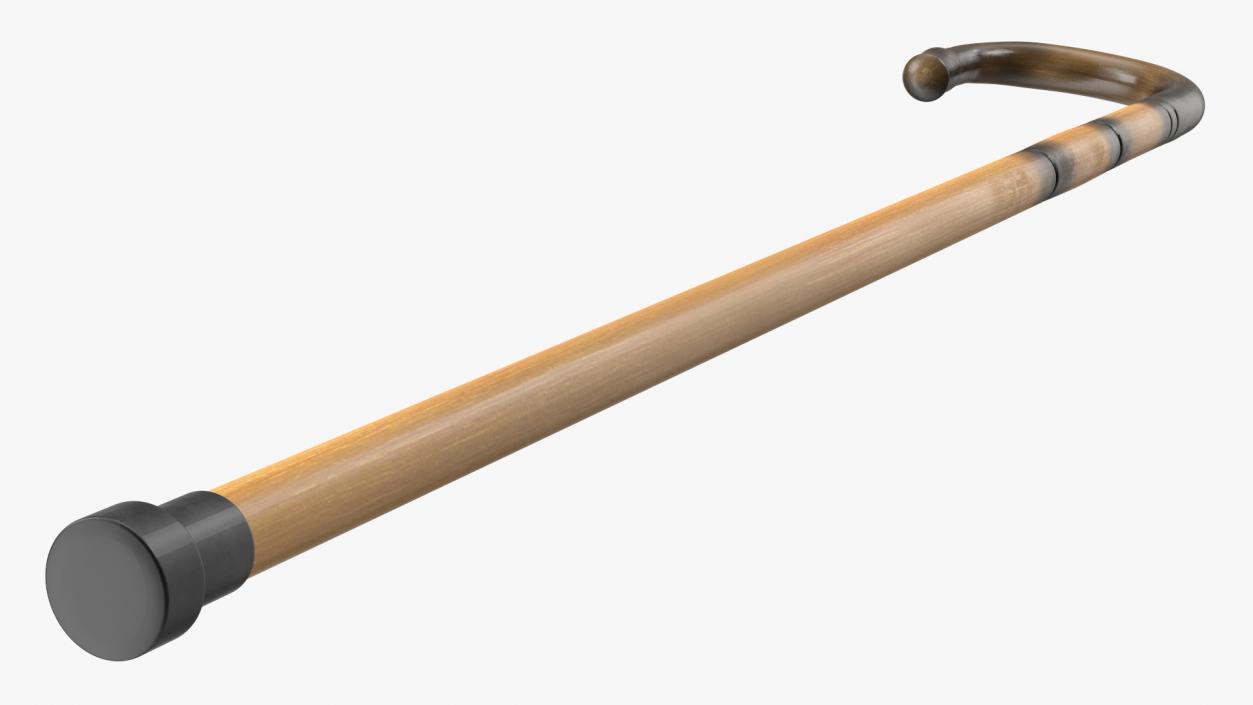 Bamboo Walking Cane 3D model