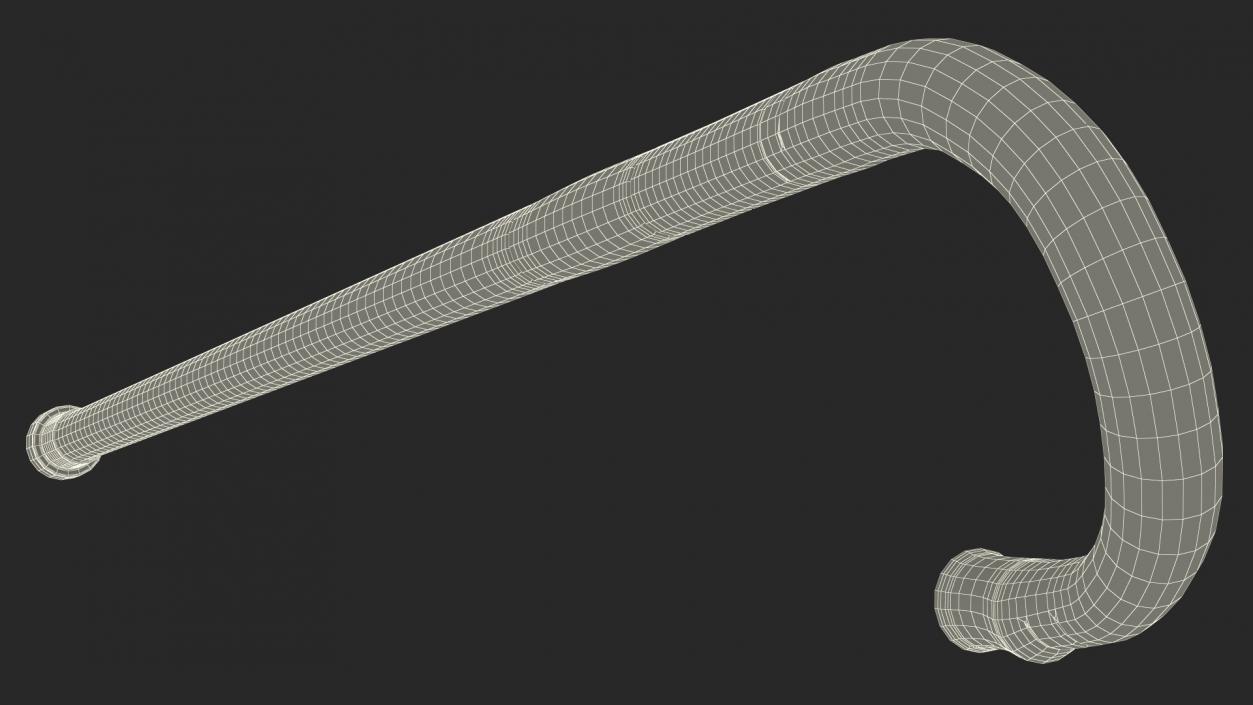 Bamboo Walking Cane 3D model