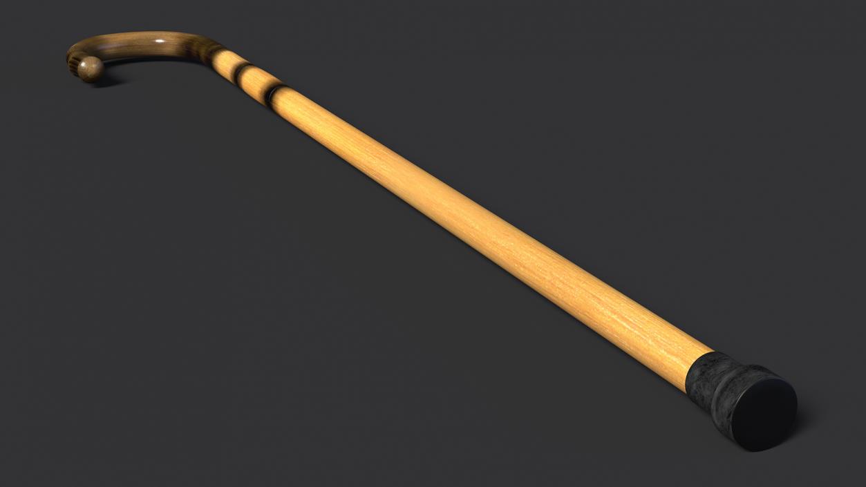 Bamboo Walking Cane 3D model