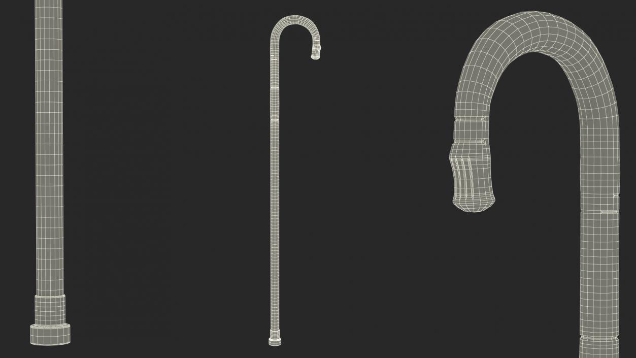 Bamboo Walking Cane 3D model