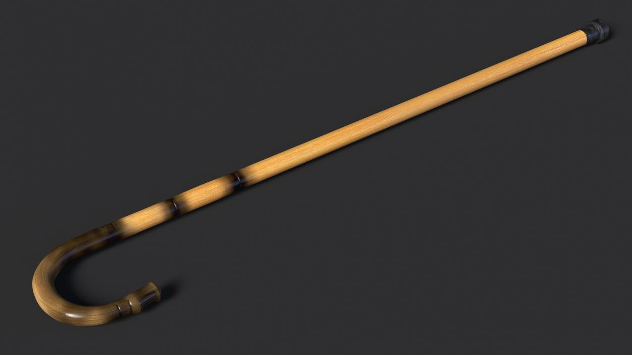 Bamboo Walking Cane 3D model