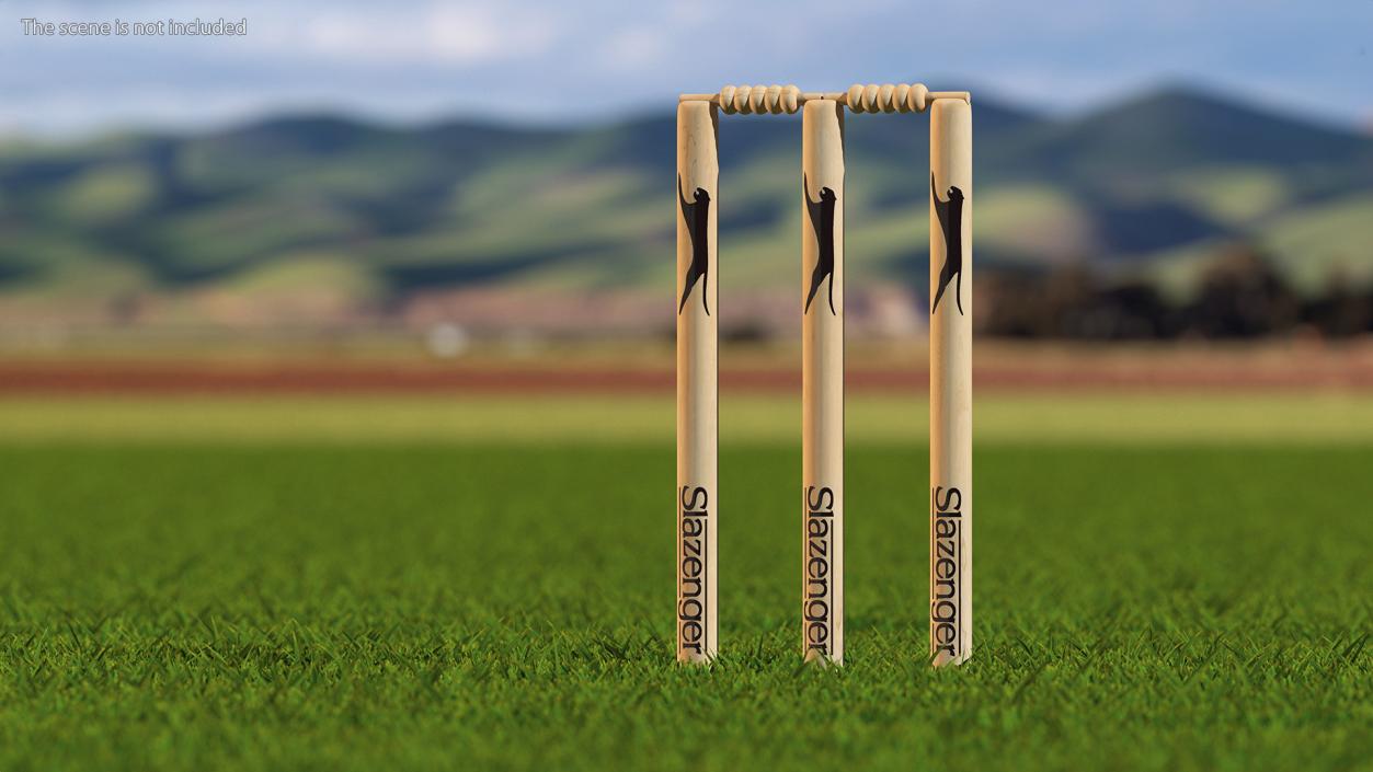 3D Slazenger Cricket Stumps Set model