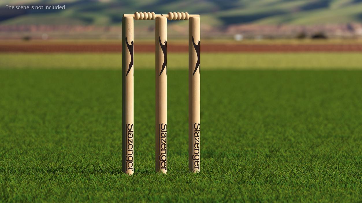 3D Slazenger Cricket Stumps Set model