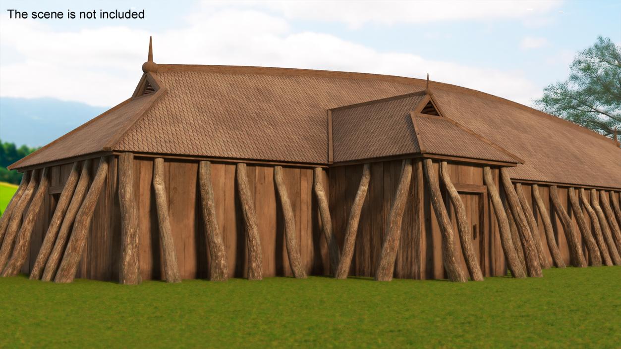 Long Vikings House Simple Interior 3D model