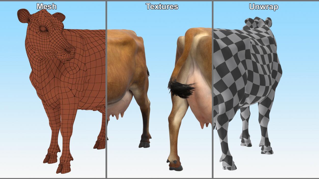 3D Channel Island Cow Brown Fur model