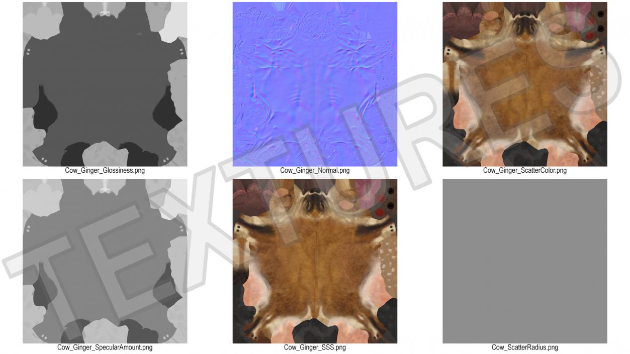 3D Channel Island Cow Brown Fur model