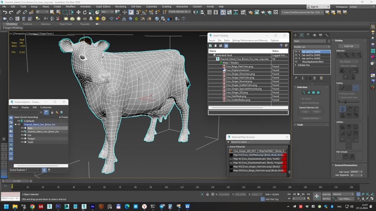 3D Channel Island Cow Brown Fur model