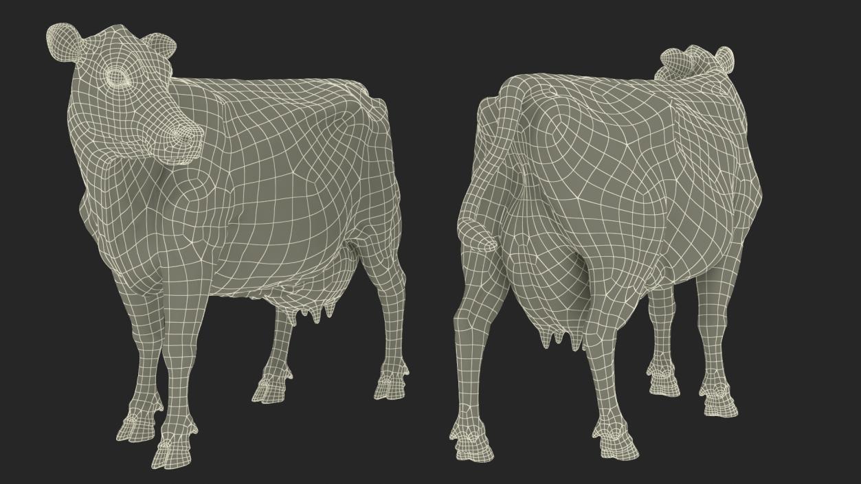 3D Channel Island Cow Brown Fur model