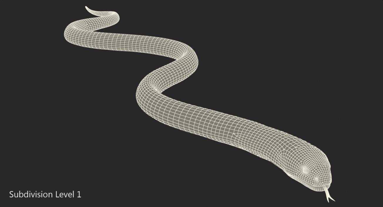 3D Light Cobra Snake Crawling