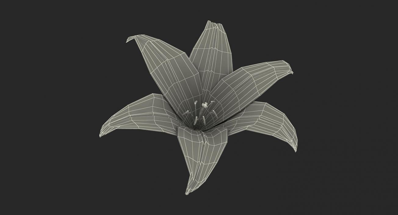 3D model Flowers 3D Models Collection 7