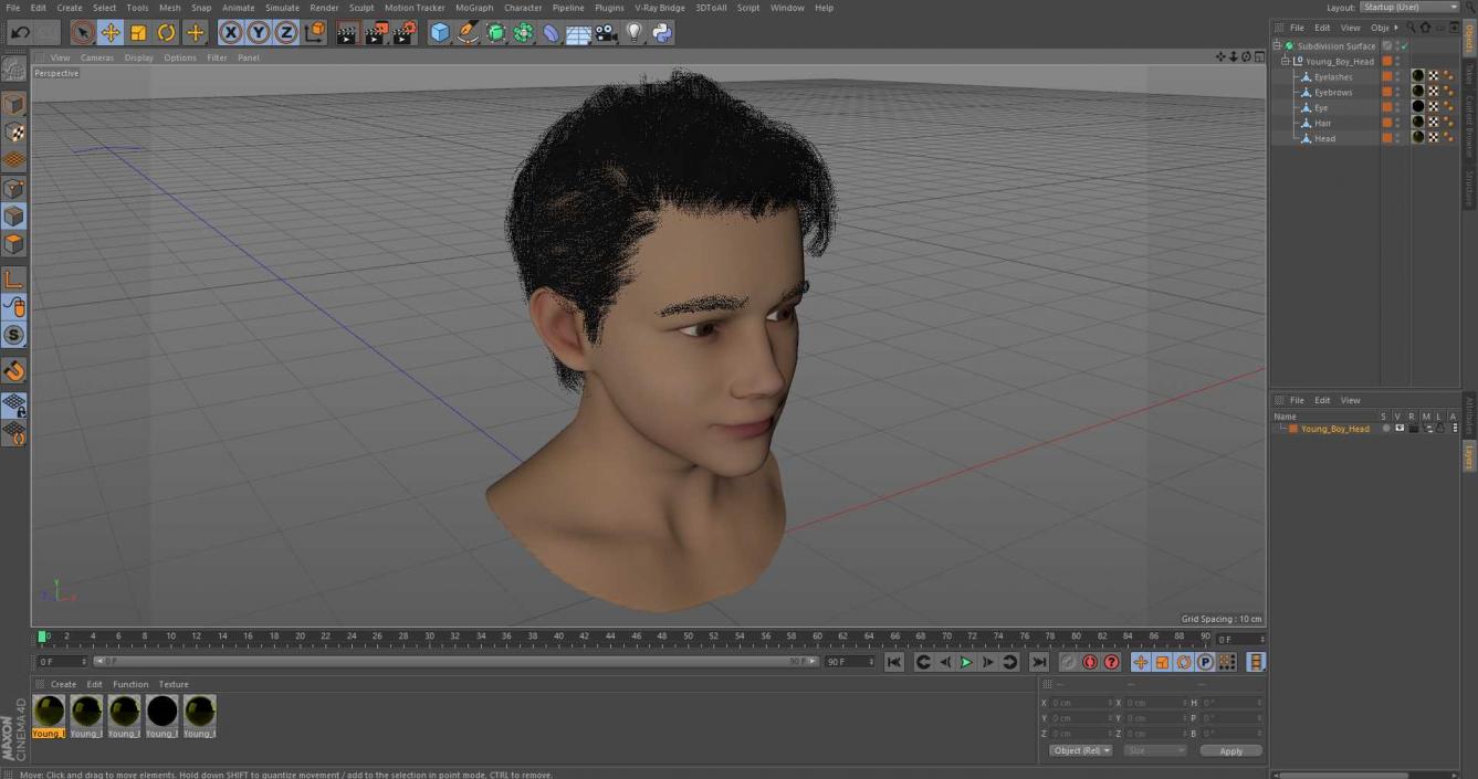 Young Boy Head 3D model