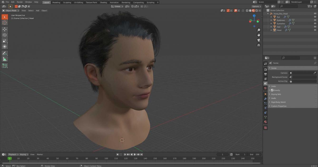 Young Boy Head 3D model