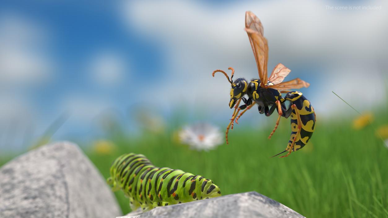 3D model Wasp Fur Rigged