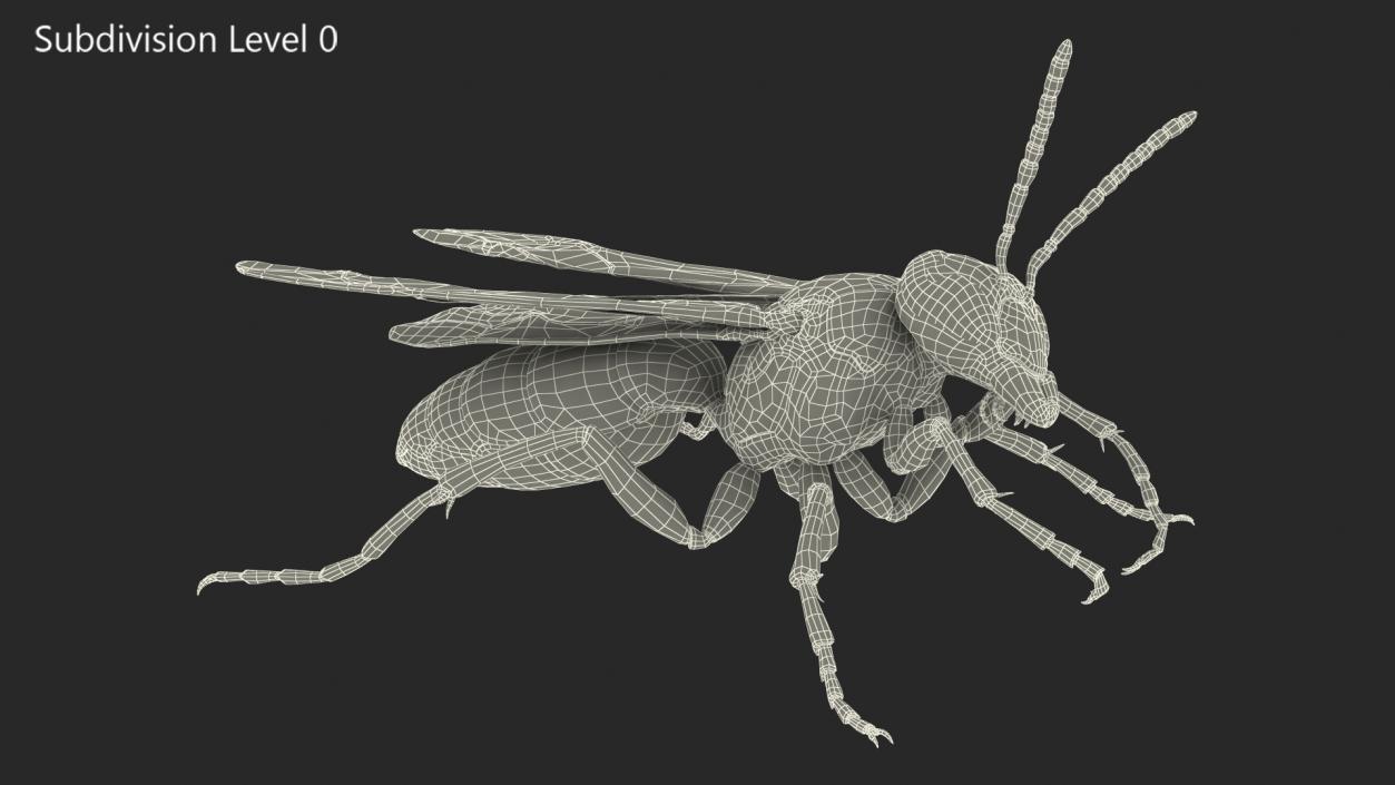 3D model Wasp Fur Rigged