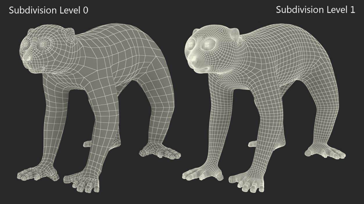 Javan Slow Loris Fur Rigged 3D