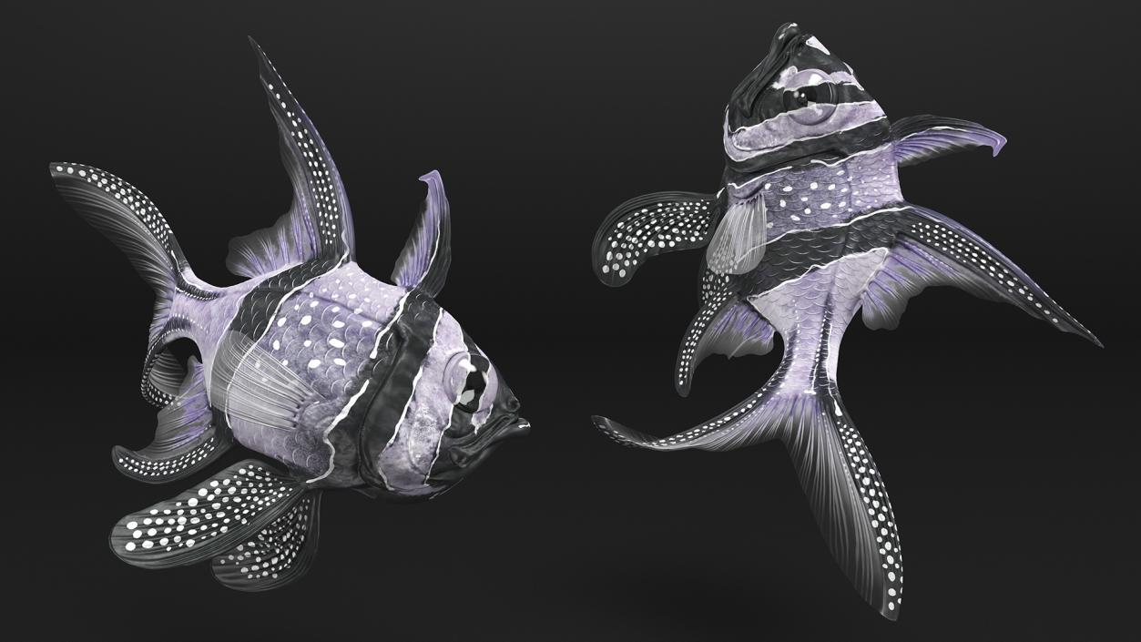 3D model Longfin Cardinalfish