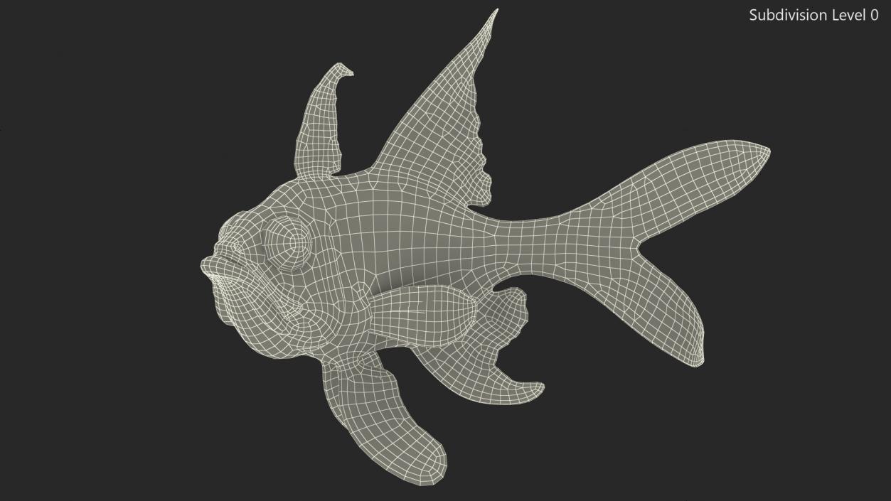 3D model Longfin Cardinalfish