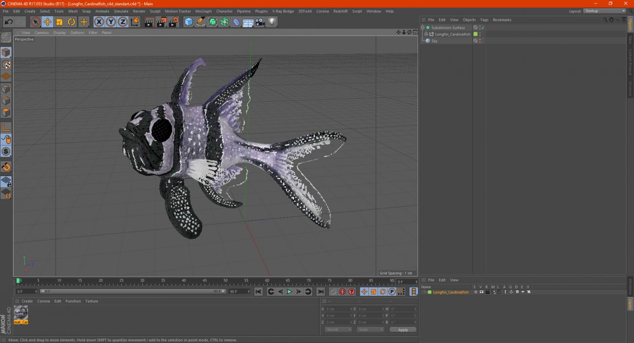 3D model Longfin Cardinalfish