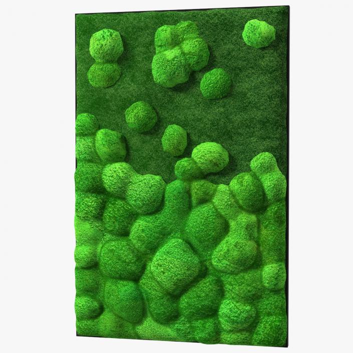 3D model Evergreen Moss Vertical Garden