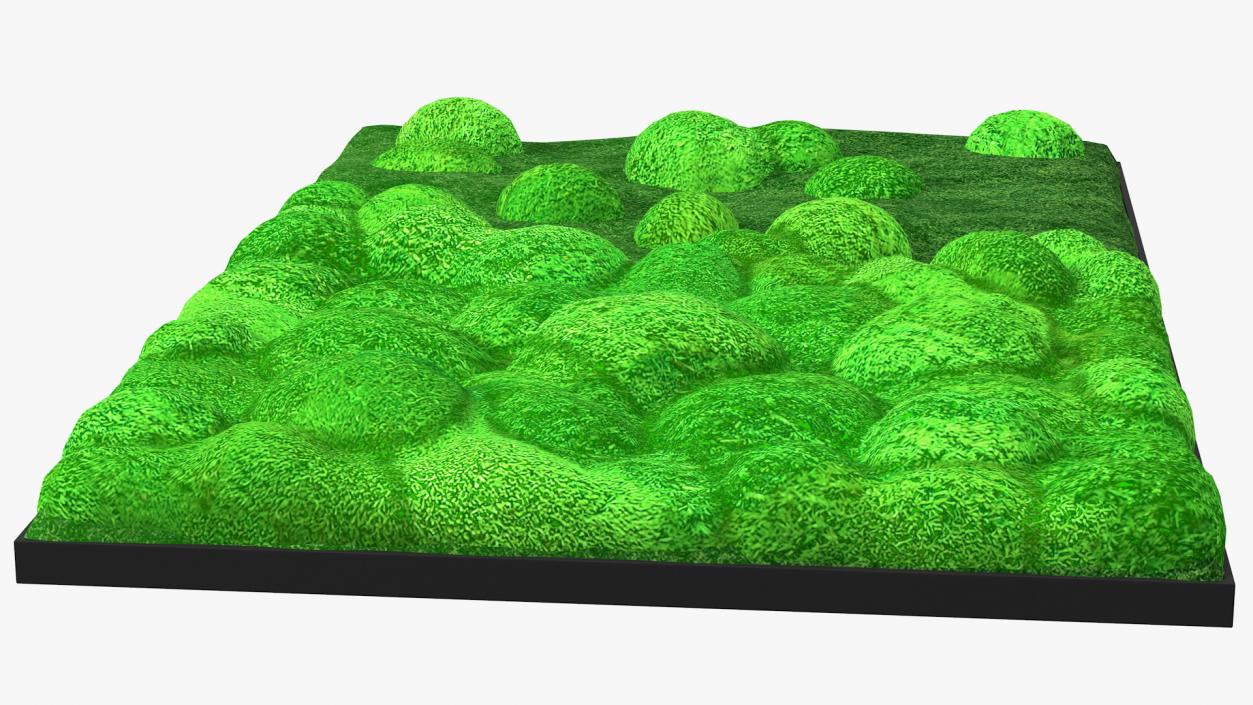 3D model Evergreen Moss Vertical Garden