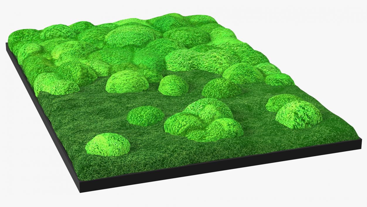 3D model Evergreen Moss Vertical Garden