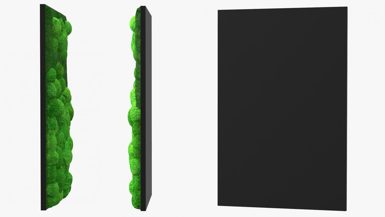 3D model Evergreen Moss Vertical Garden