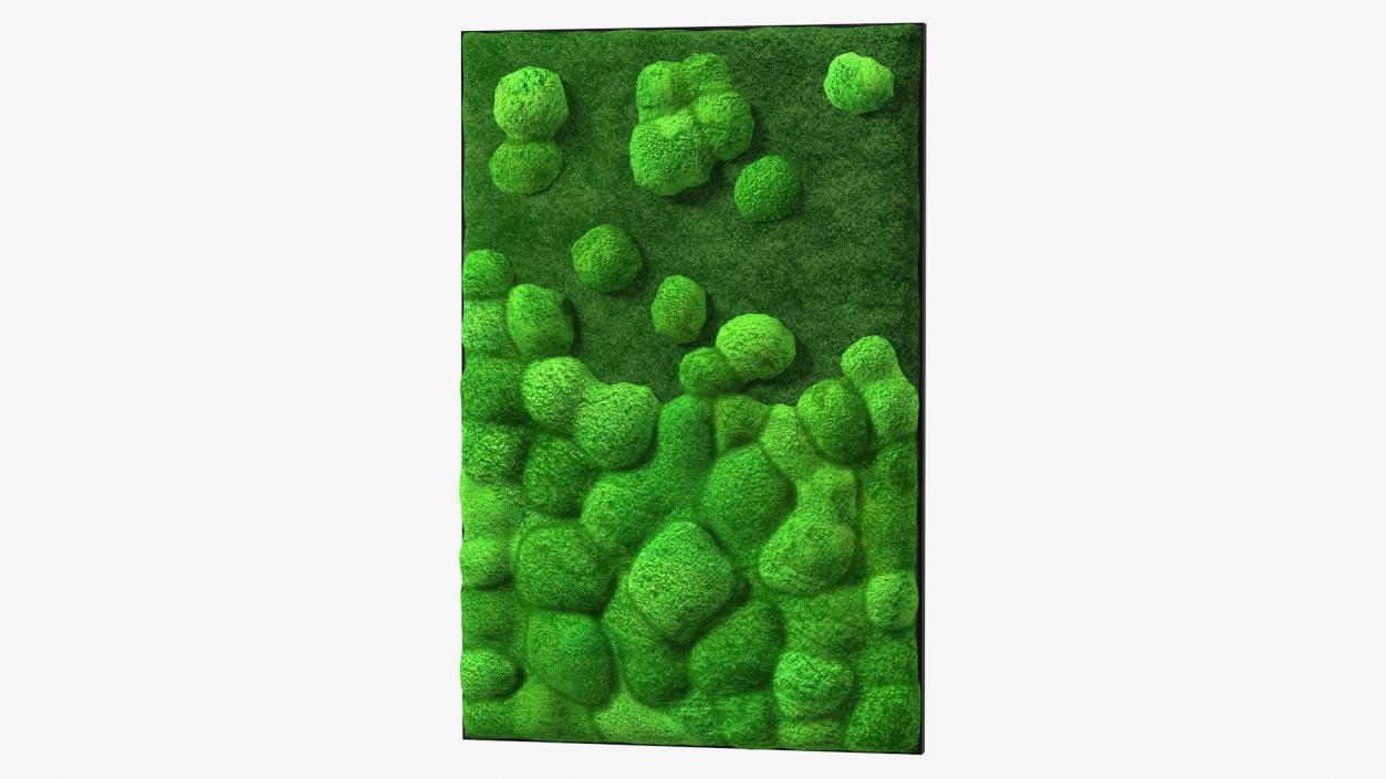 3D model Evergreen Moss Vertical Garden