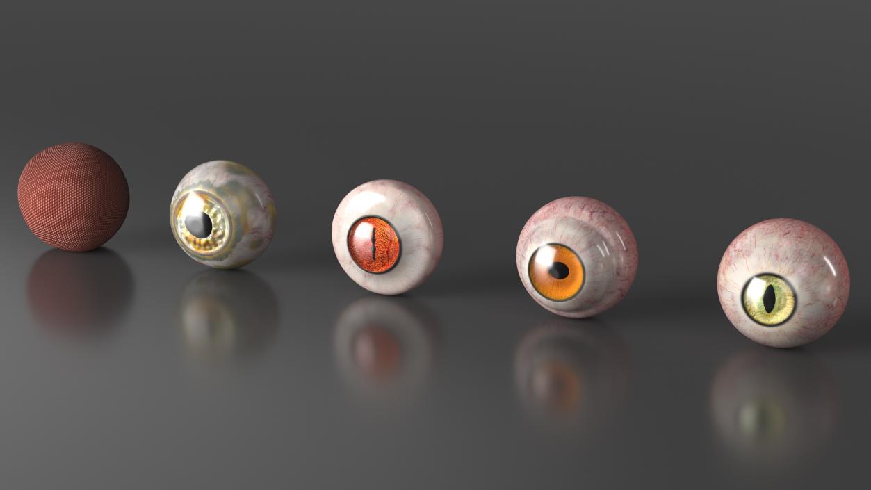 3D model Realistic Animal Eyes Set