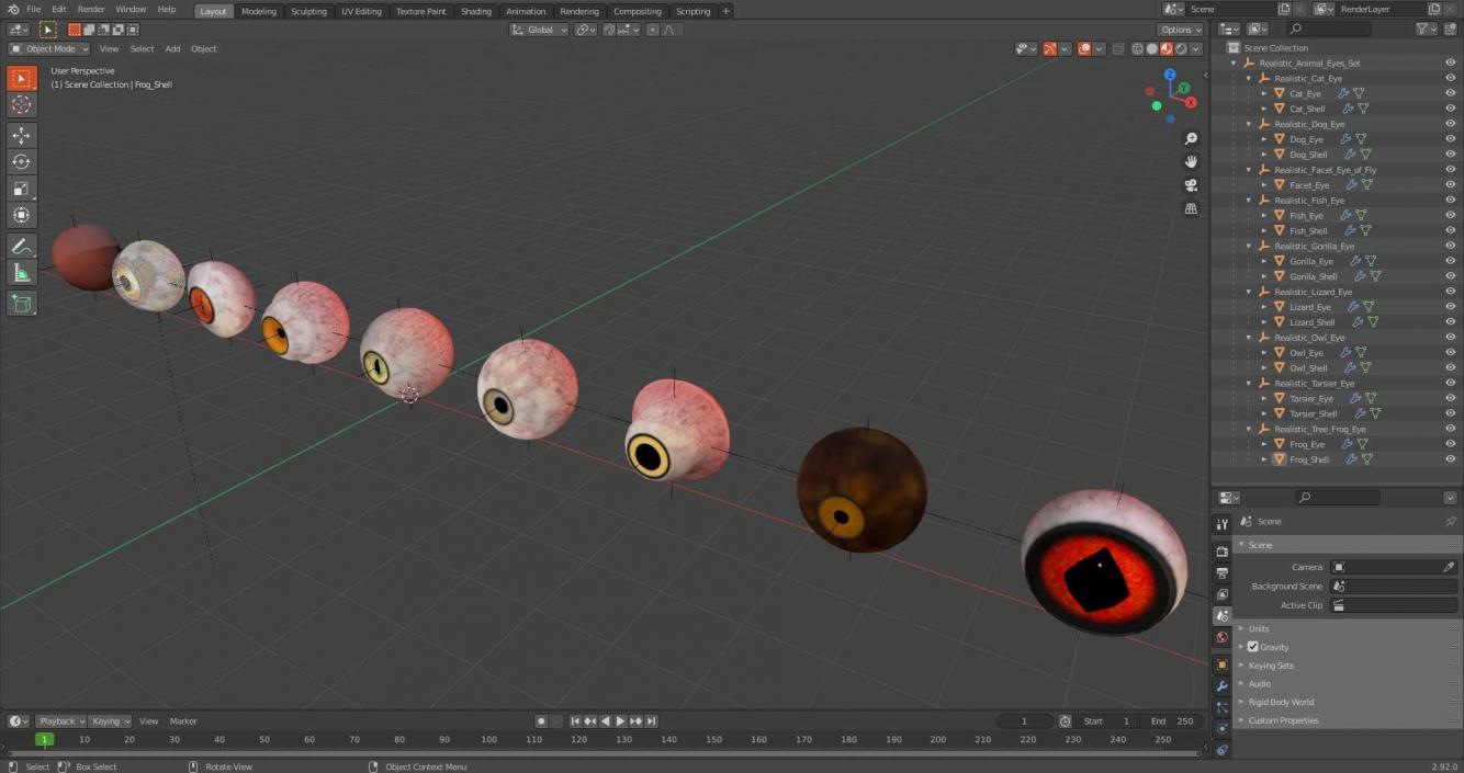 3D model Realistic Animal Eyes Set