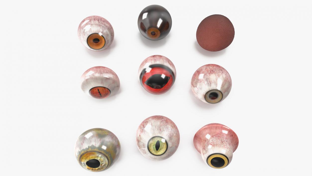 3D model Realistic Animal Eyes Set