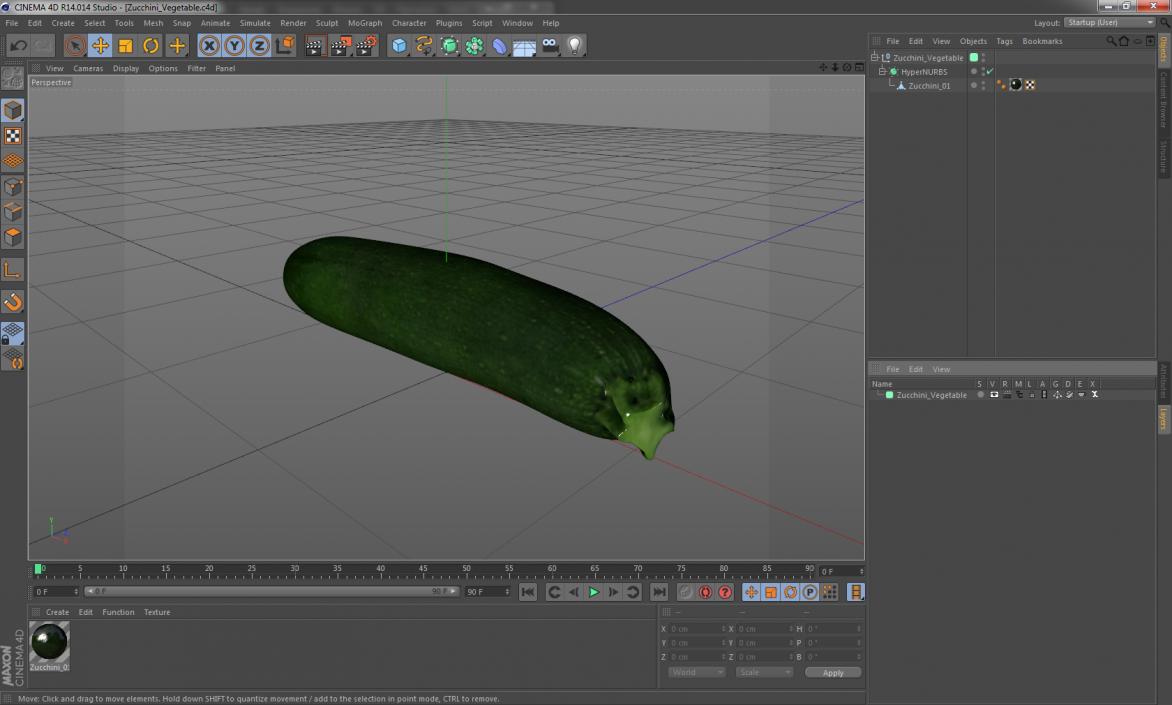 3D Zucchini Vegetable model