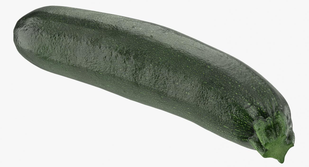 3D Zucchini Vegetable model