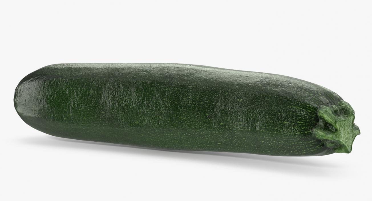 3D Zucchini Vegetable model