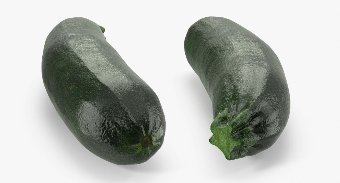 3D Zucchini Vegetable model