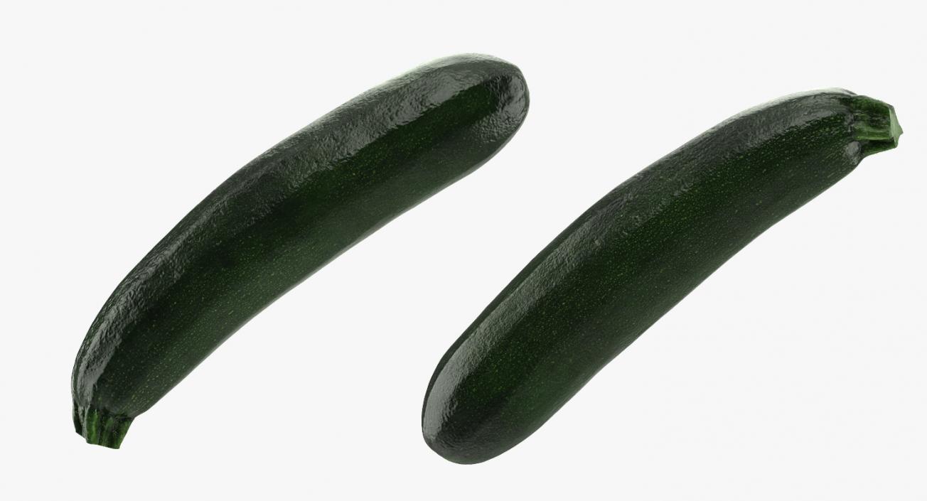 3D Zucchini Vegetable model