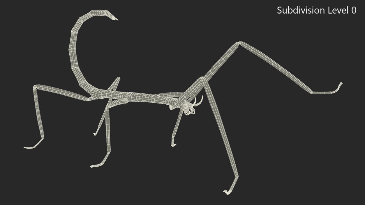 3D model Stick Insect Green Rigged