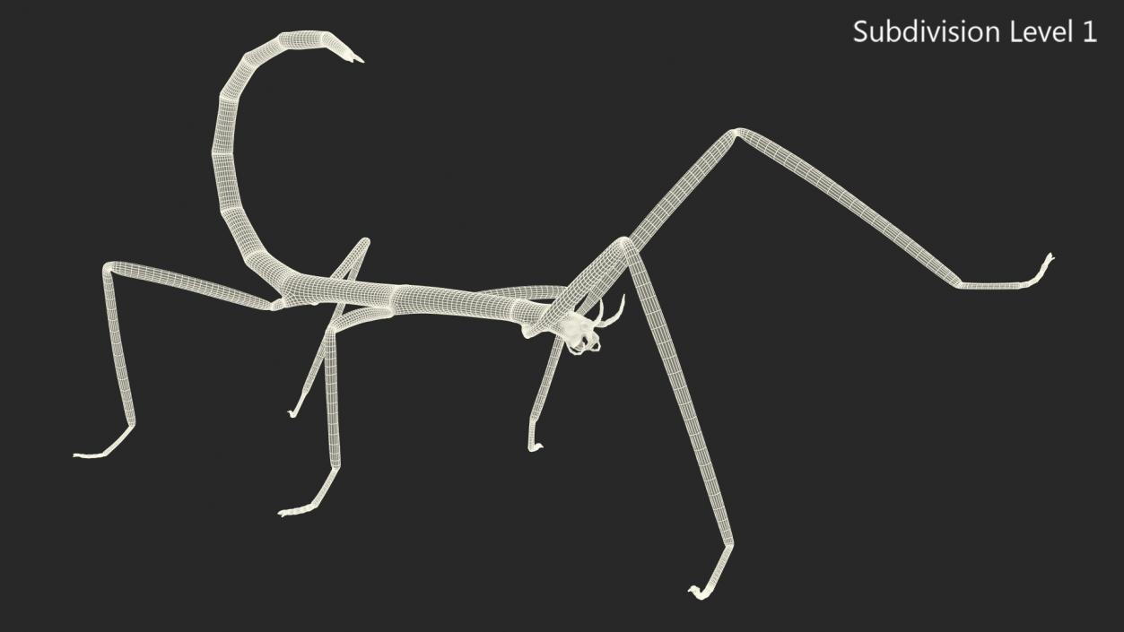 3D model Stick Insect Green Rigged