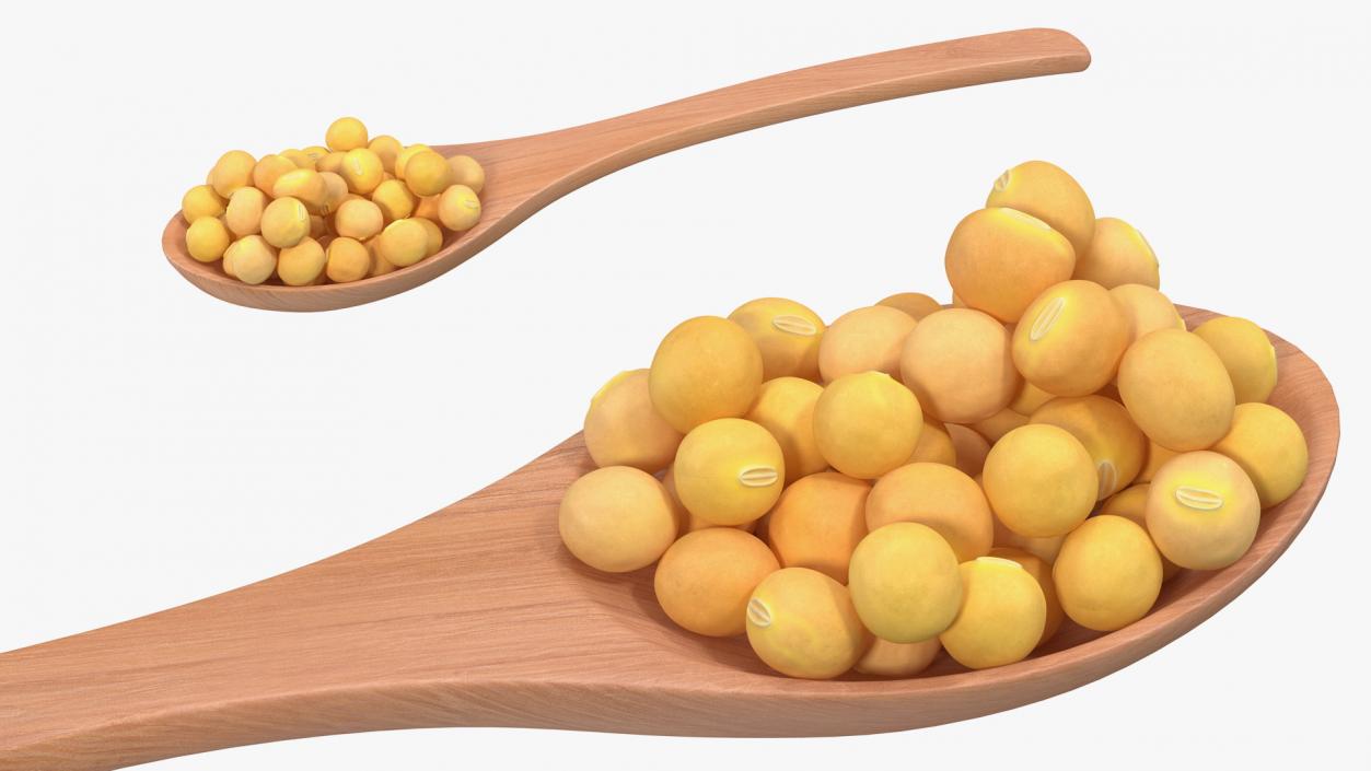 3D model Soy Beans in Wooden Spoon