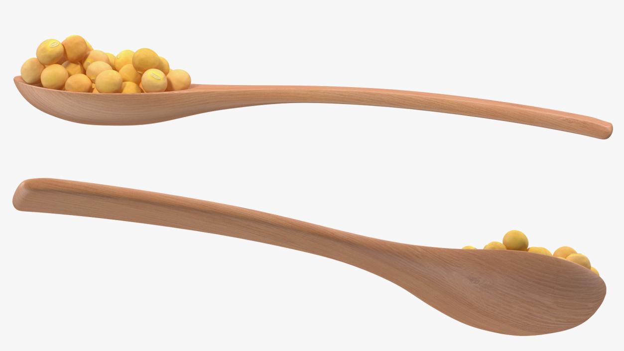 3D model Soy Beans in Wooden Spoon