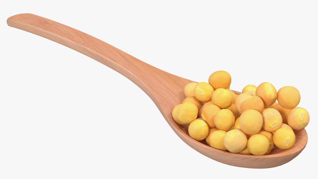 3D model Soy Beans in Wooden Spoon